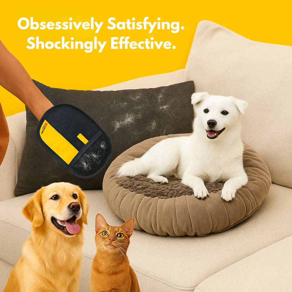 🐾 1 Best Selling Pet Cleaning Glove